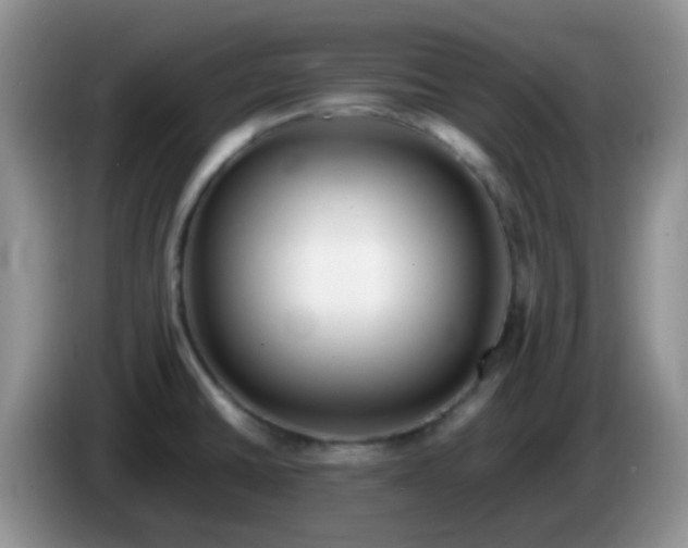 X0000086261430200704122002