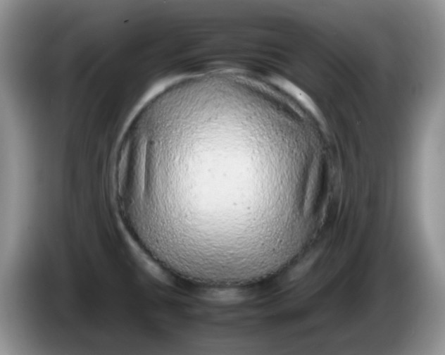 X0000086261431200704122002