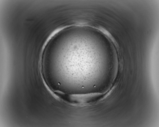 X0000086261432200704122002