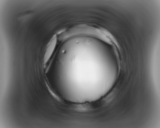 X0000086261433200704122002