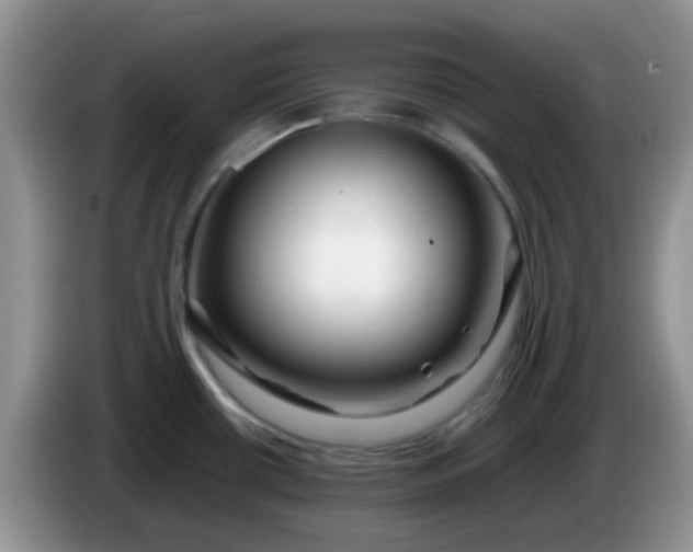 X0000086261434200704122002