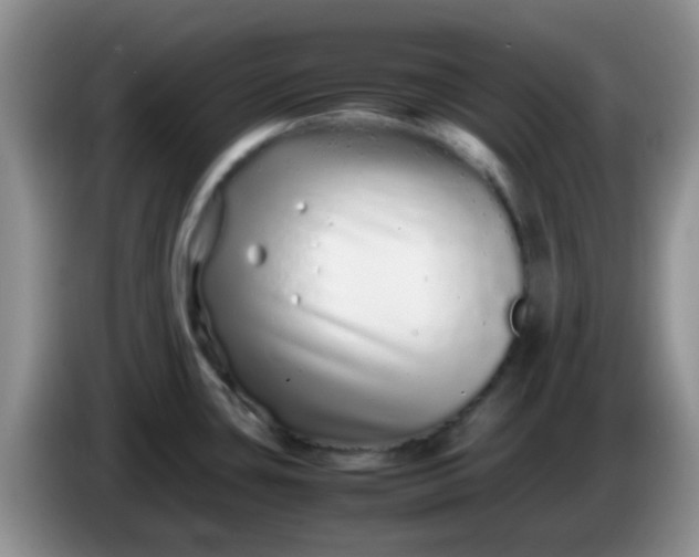 X0000086261435200704122002