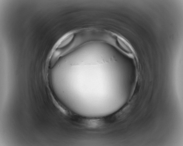 X0000086261437200704122002