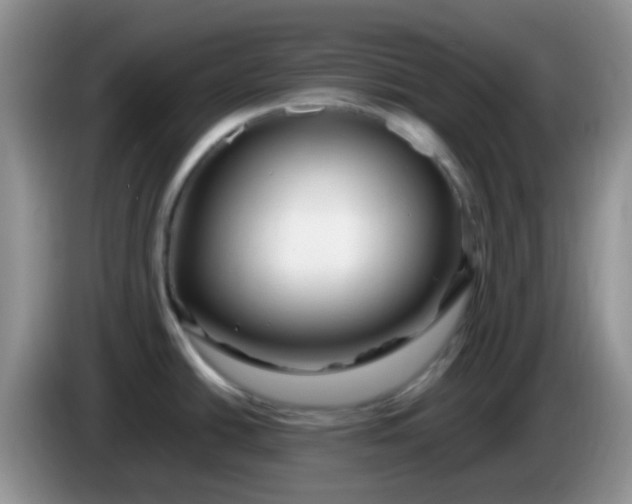 X0000086261438200704122002