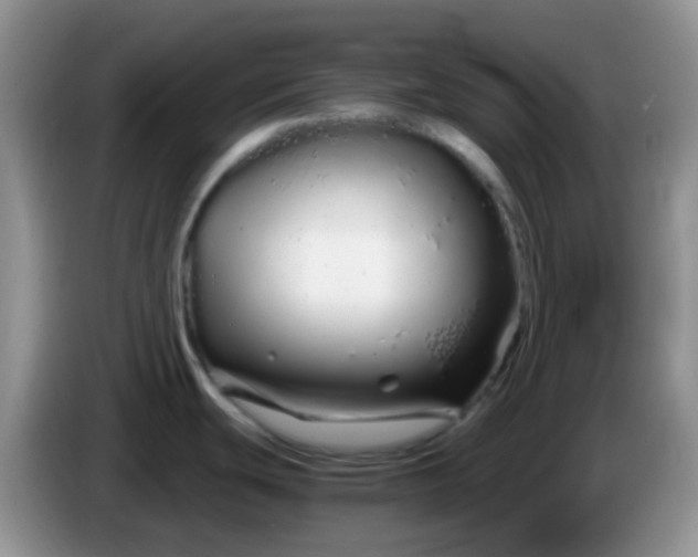X0000086261439200704122002
