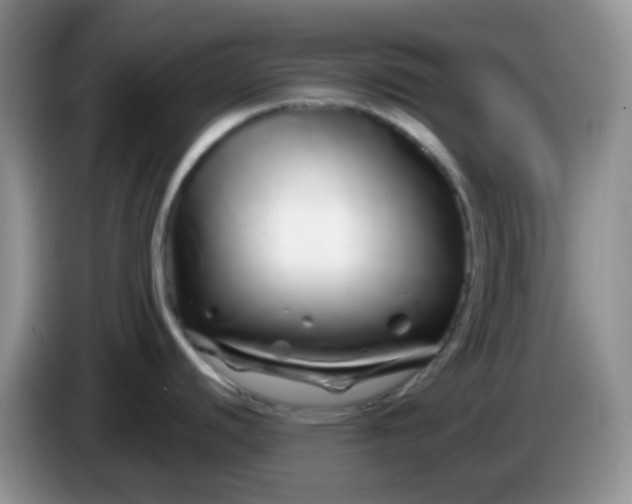 X0000086261440200704122002