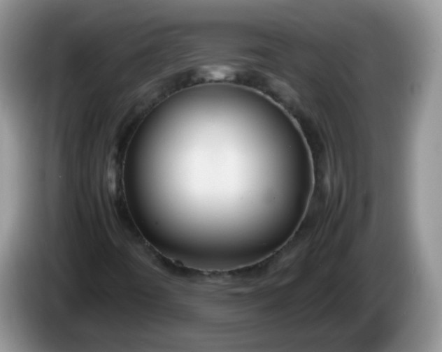 X0000086261442200704122001