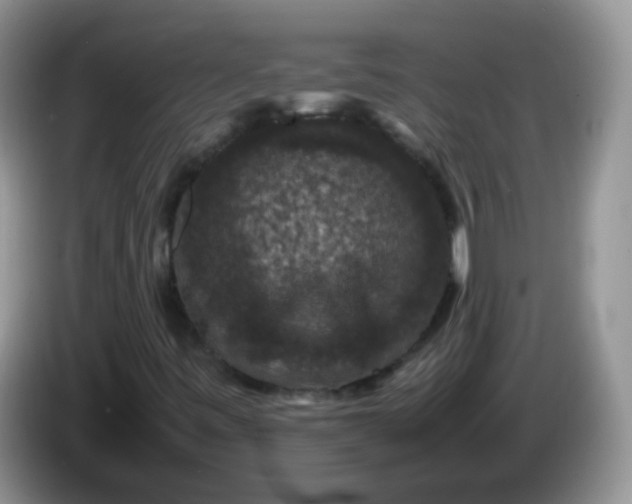 X0000086261443200704122001