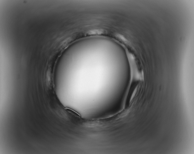 X0000086261444200704122001