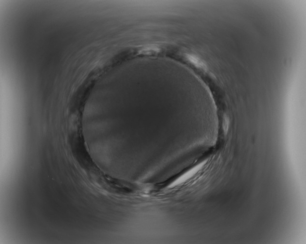 X0000086261445200704122001