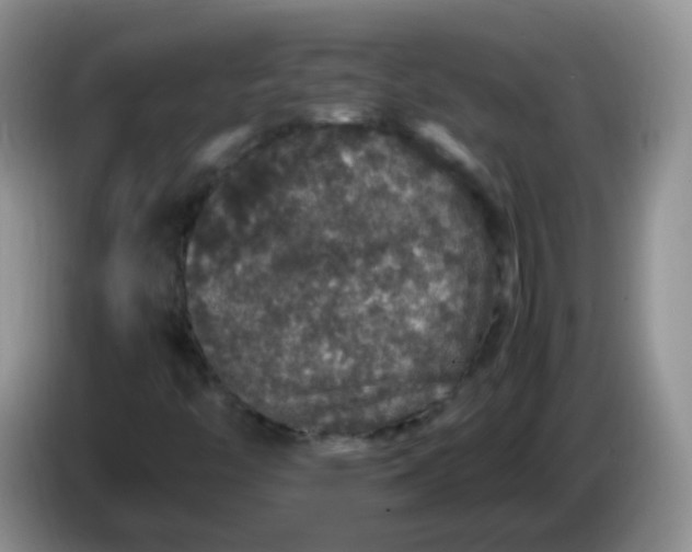 X0000086261446200704122001