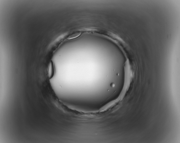X0000086261448200704122001