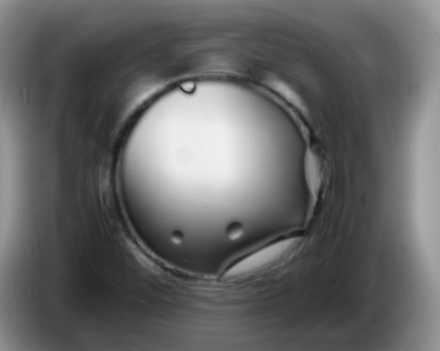 X0000086261452200704122001