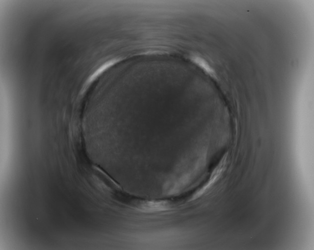 X0000086261453200704122001