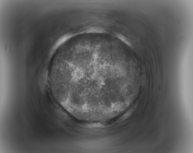 X0000086261454200704122001