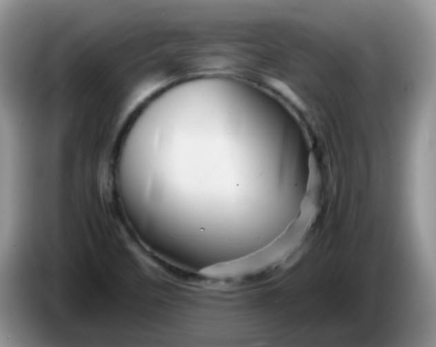 X0000086261458200704122001