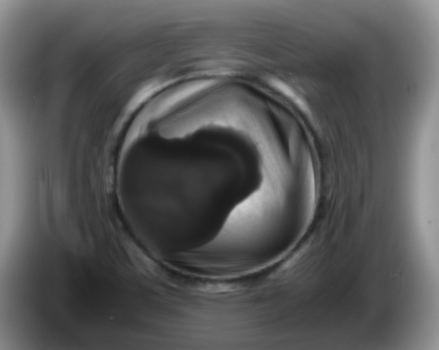 X0000086261459200704122001