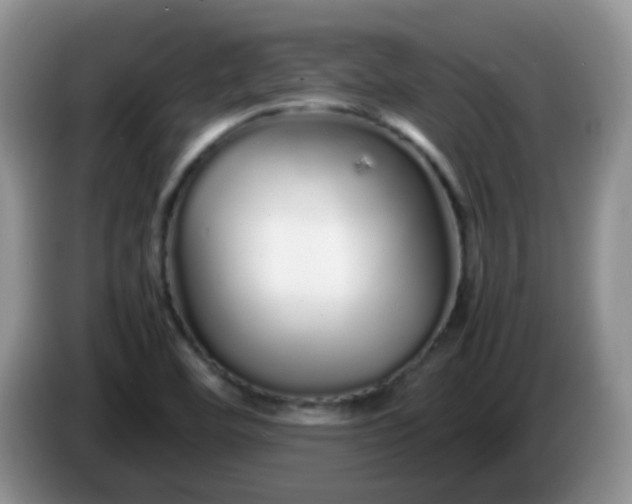 X0000086261460200704122001