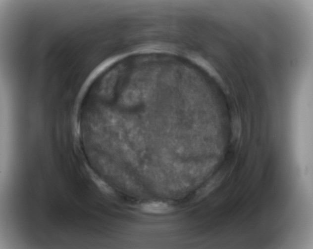 X0000086261462200704122001