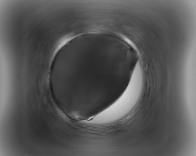 X0000086261463200704122001