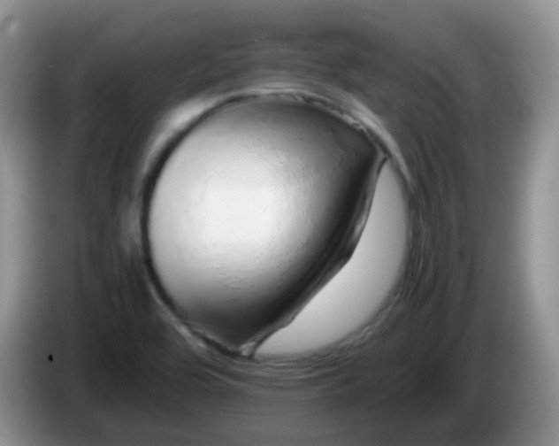 X0000086261464200704122001
