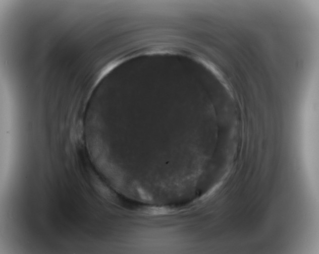 X0000086261465200704122001