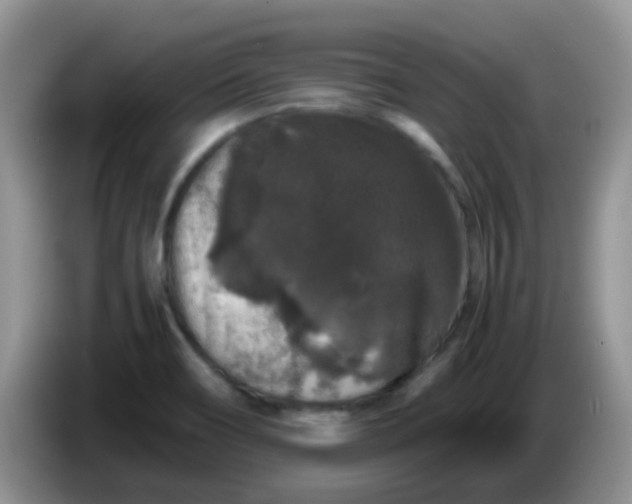 X0000086261466200704122001
