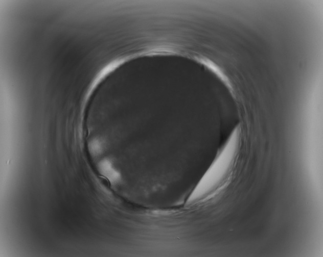 X0000086261469200704122001