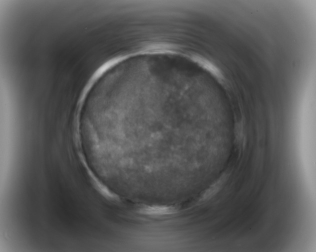 X0000086261470200704122001