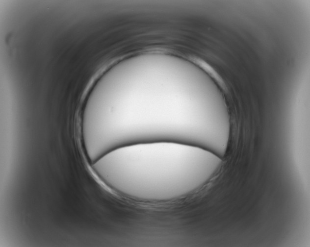 X0000086261476200704122001