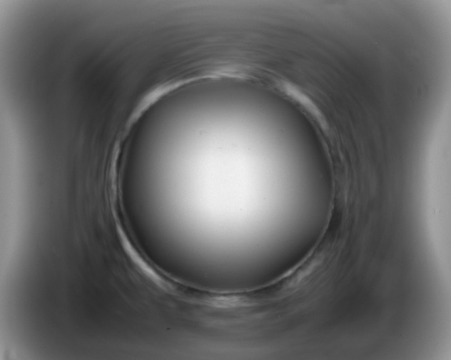 X0000086261479200704122001