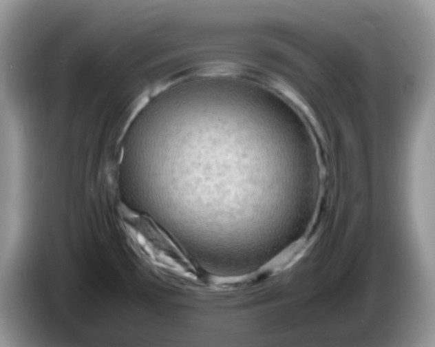 X0000086261481200704122001