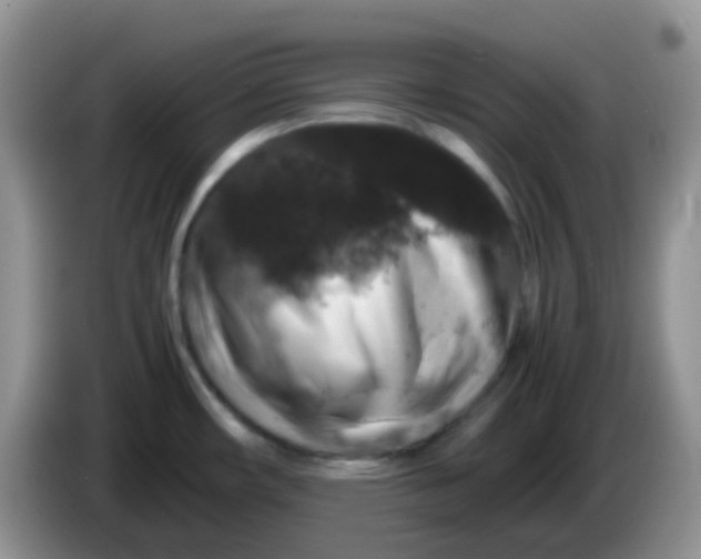 X0000086261482200704122001
