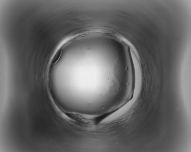 X0000086261483200704122001