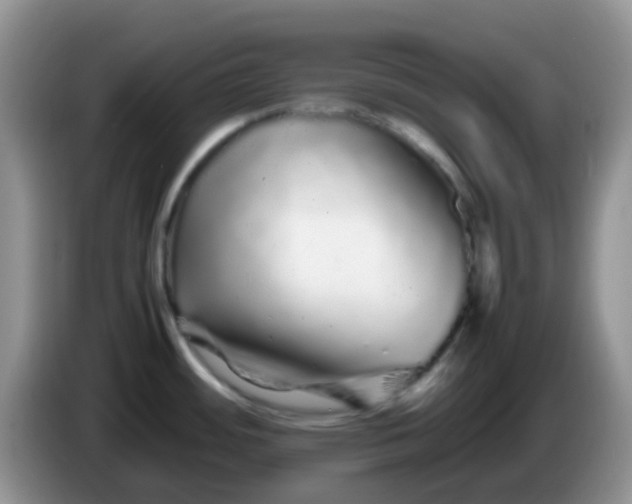X0000086261484200704122001