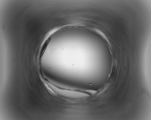X0000086261485200704122001