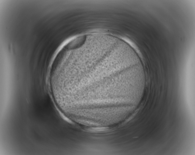 X0000086261486200704122001