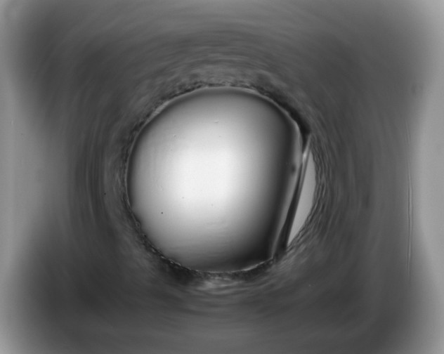 X0000086261489200704122000