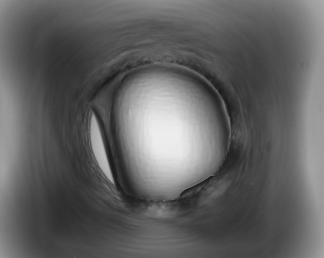 X0000086261490200704122000