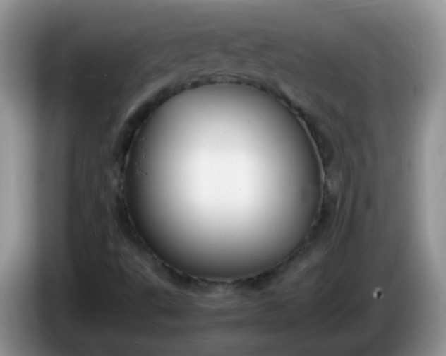 X0000086261495200704122000