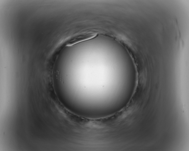 X0000086261496200704122000