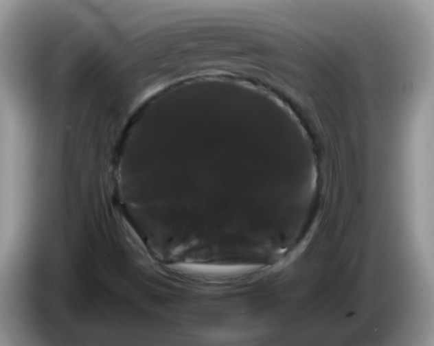 X0000086261497200704122000