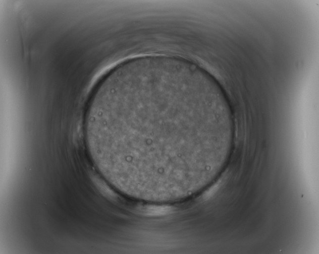 X0000086261498200704122000