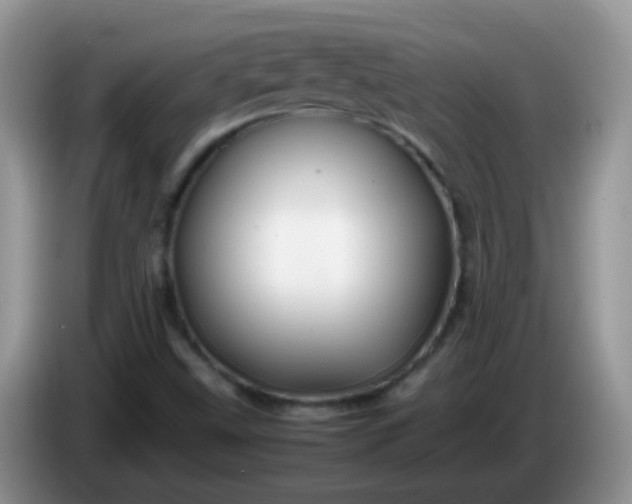 X0000086261499200704122000