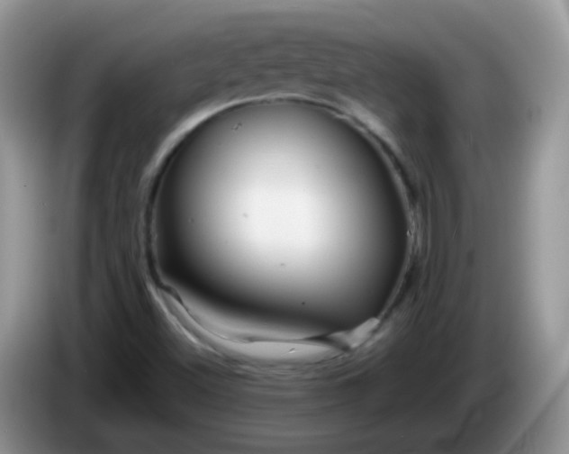 X0000086261500200704122000