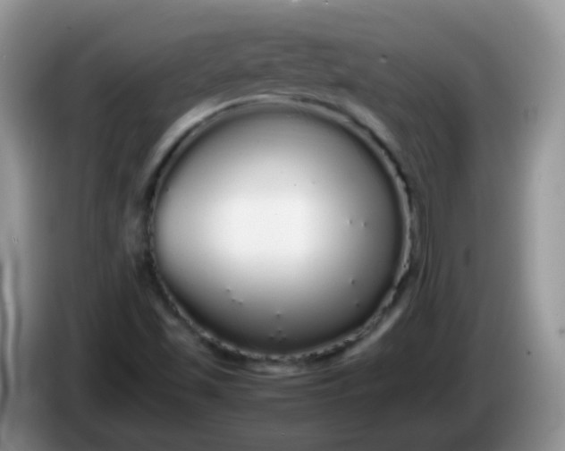 X0000086261501200704122000
