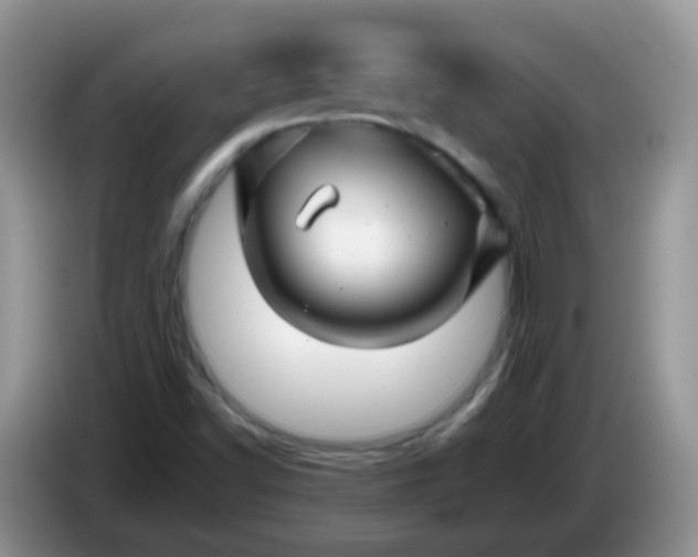 X0000086261502200704122000
