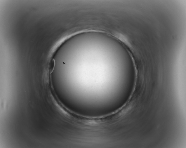 X0000086261504200704122000