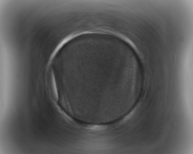 X0000086261506200704122000