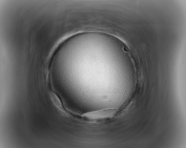 X0000086261507200704122001